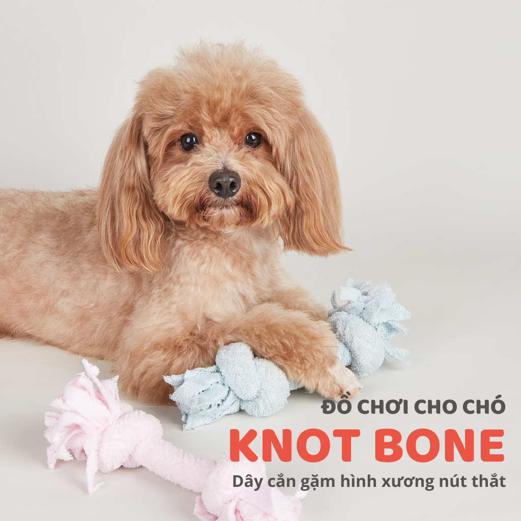 Đồ Chơi Fofos Thú Bông - Xương Gặm Chó