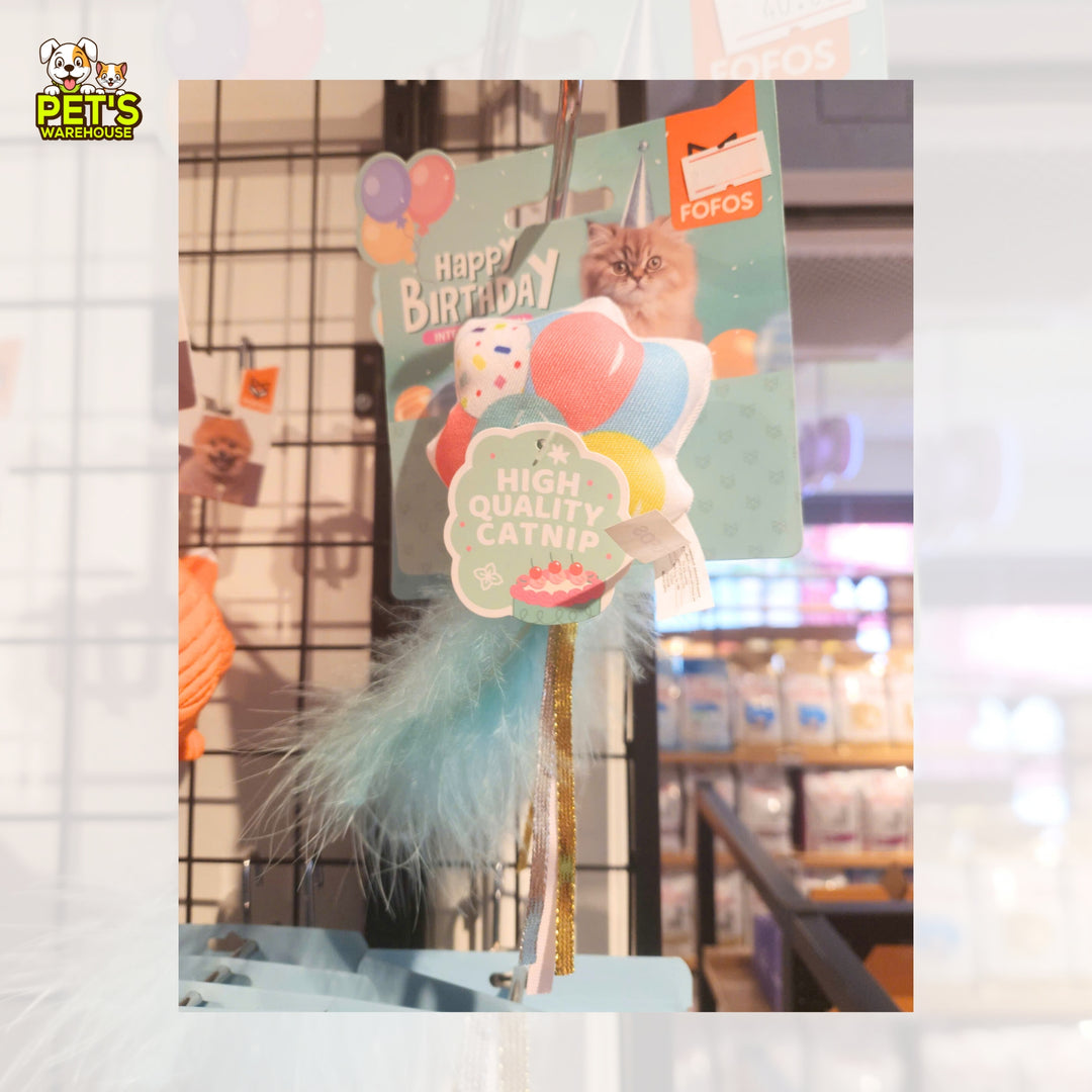 Đồ Chơi Fofos Mèo Chủ Đề Sinh Nhật & Mùa Hè