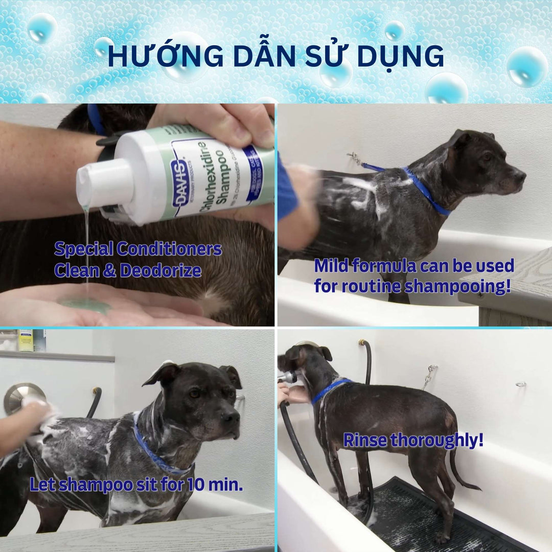 Sữa Tắm Davis Hỗ Trợ Nấm Viêm Da Cho Chó Mèo, Chai 355Ml