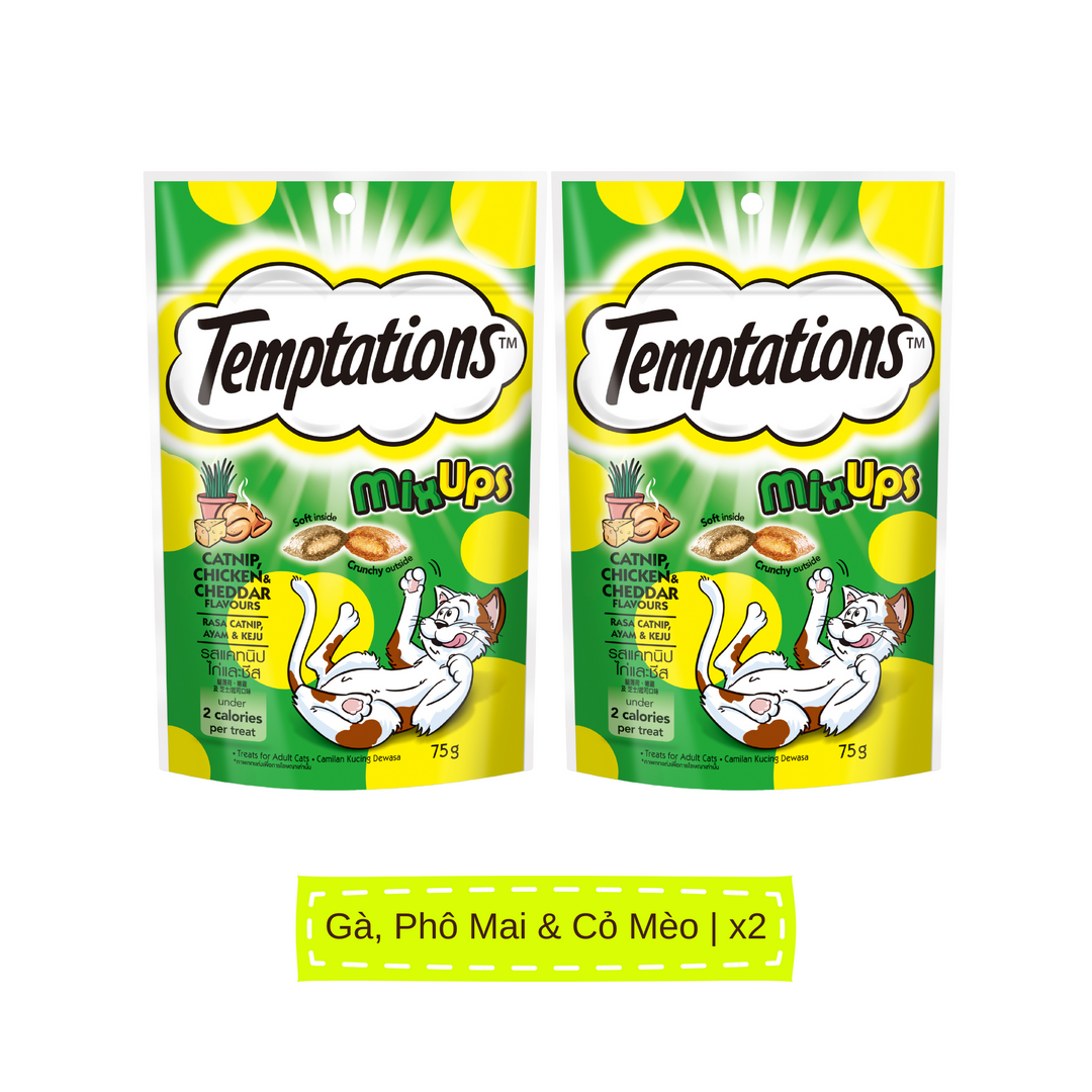 Bánh Thưởng Temptations Mèo 75G