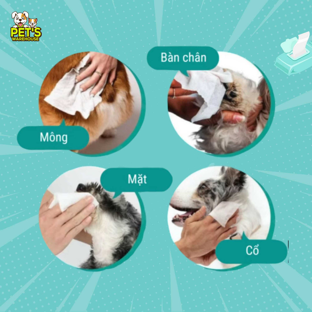 Khăn Ướt Kháng Khuẩn Absorb Plus Antibacterial Pet Wipes Cho Chó, Gói 80 Tờ