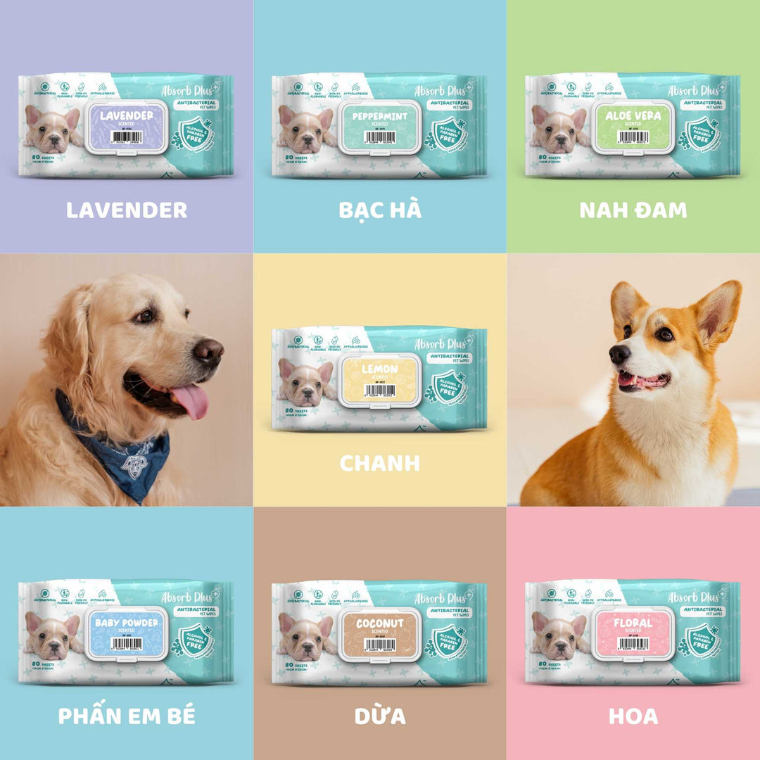 Khăn Ướt Kháng Khuẩn Absorb Plus Antibacterial Pet Wipes Cho Chó, Gói 80 Tờ