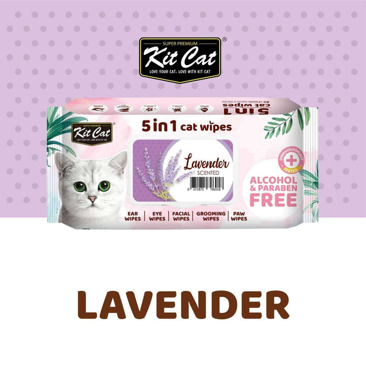 Khăn Ướt Kit Cat Kháng Khuẩn Cho Mèo, Gói 80 Tờ, Nhiều Hương