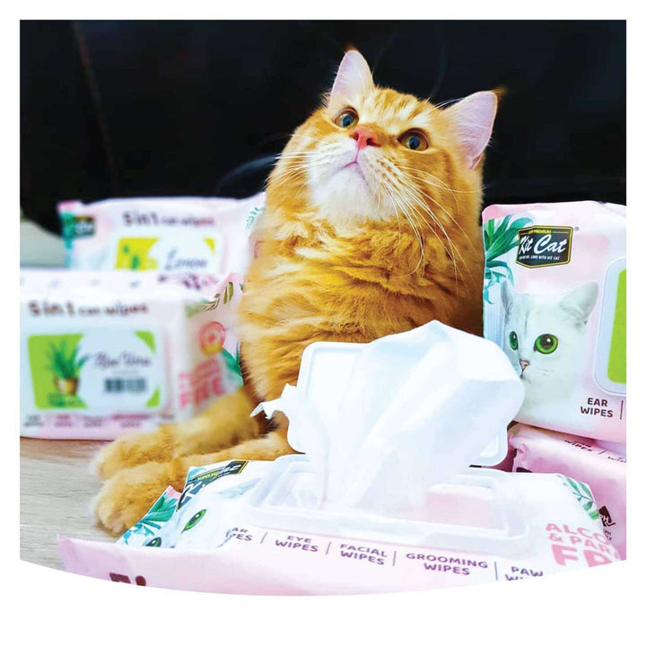 Khăn Ướt Kit Cat Kháng Khuẩn Cho Mèo, Gói 80 Tờ, Nhiều Hương