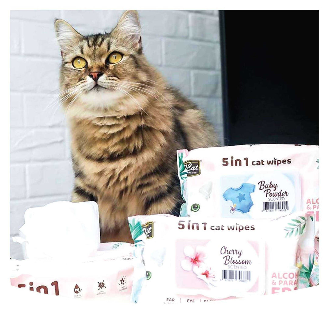 Khăn Ướt Kit Cat Kháng Khuẩn Cho Mèo, Gói 80 Tờ, Nhiều Hương