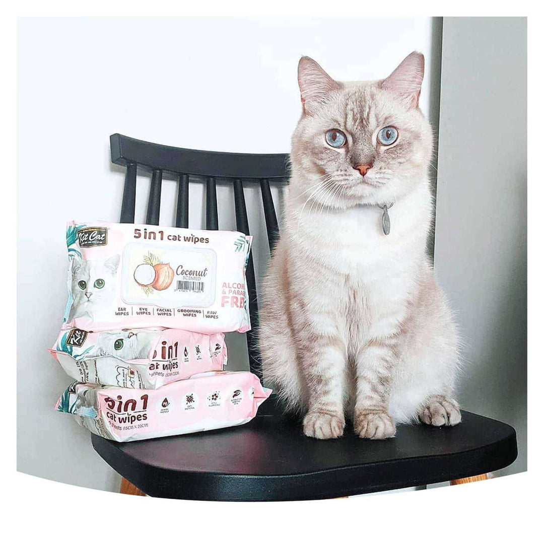 Khăn Ướt Kit Cat Kháng Khuẩn Cho Mèo, Gói 80 Tờ, Nhiều Hương