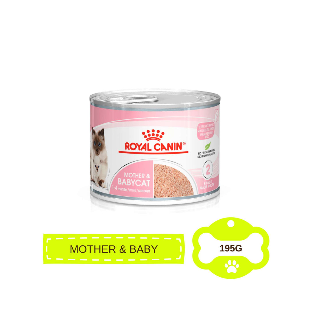 Pate Royal Canin Mother & Baby Cho Mèo Mẹ & Mèo Con 1 - 4 Tháng Tuổi, Lon 195g
