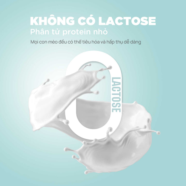 Pate Sữa Dê PetQ Cho Mèo Mọi Lứa Tuổi, Nhiều Vị, 70g