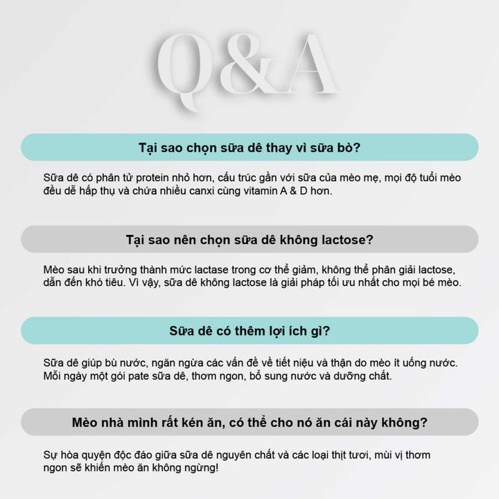 Pate Sữa Dê PetQ Cho Mèo Mọi Lứa Tuổi, Nhiều Vị, 70g