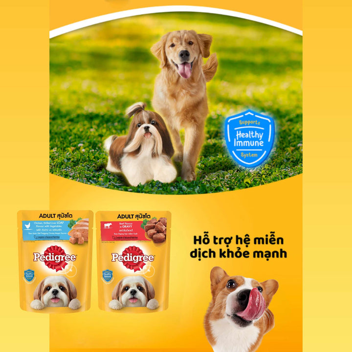 Pate Pedigree Cho Chó Trưởng Thành, Gói 80g, Nhiều Vị