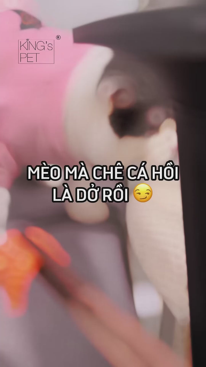 Pate King's Pet Chó Mèo Mọi Lứa Tuổi Gói 70G