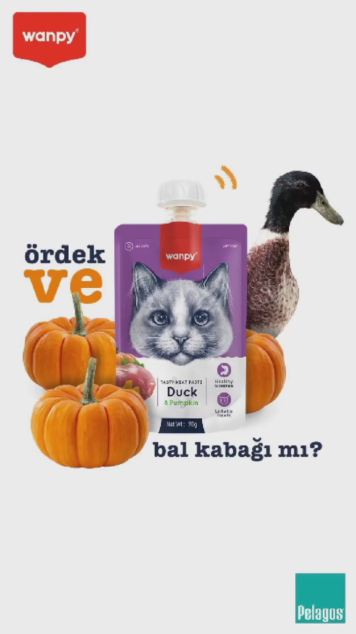 Súp Thưởng Nắp Vặn Wanpy Mèo Mọi Lứa Tuổi 90G