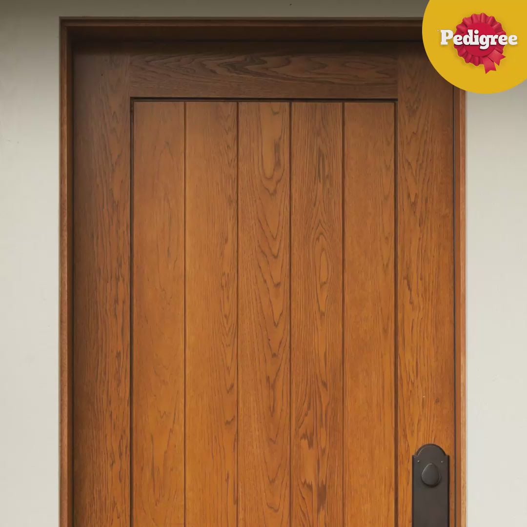 Bánh Xương Pedigree DentaStix Chó