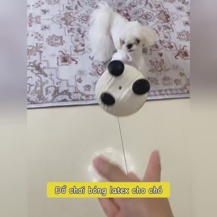 Đồ Chơi Fofos Banh Cao Su Latex Chó