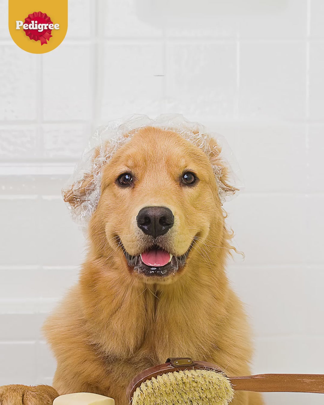 Snack Pedigree Schmackos Chó