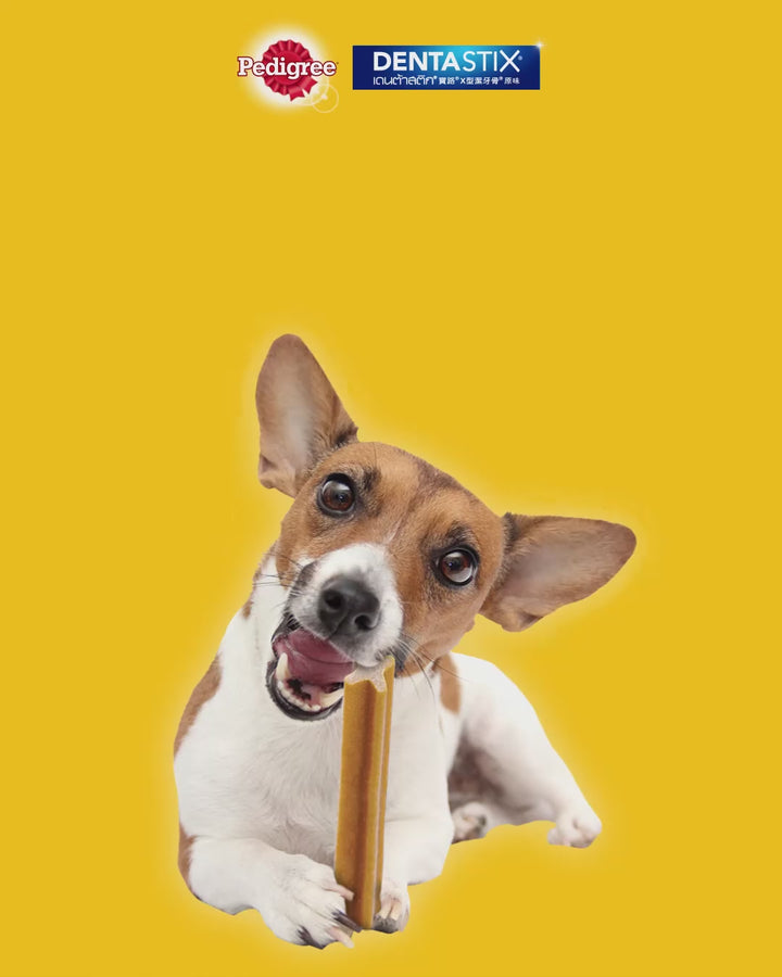 Bánh Xương Pedigree DentaStix Chó