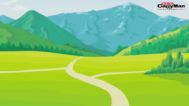 Gối Ôm CattyMan Cho Mèo, Hình Cây Chổi & Cây Kiếm