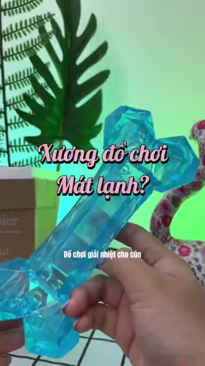 Đồ Chơi Fofos Xương Gặm Mát Lạnh Chó