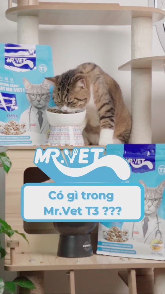 Hạt Mr.Vet Cho Mèo Mọi Lứa Tuổi, Nhiều Loại Theo Nhu Cầu, Túi 1Kg
