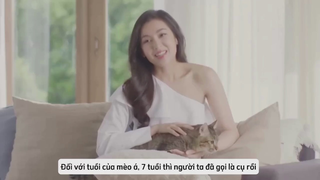 Pate mèo trưởng thành Nekko, Thái Lan, gói 70g | Pet's Warehouse