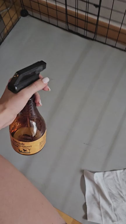 Xịt Khử Mùi Dưỡng Lông Chó Budle'Budle, 530ML