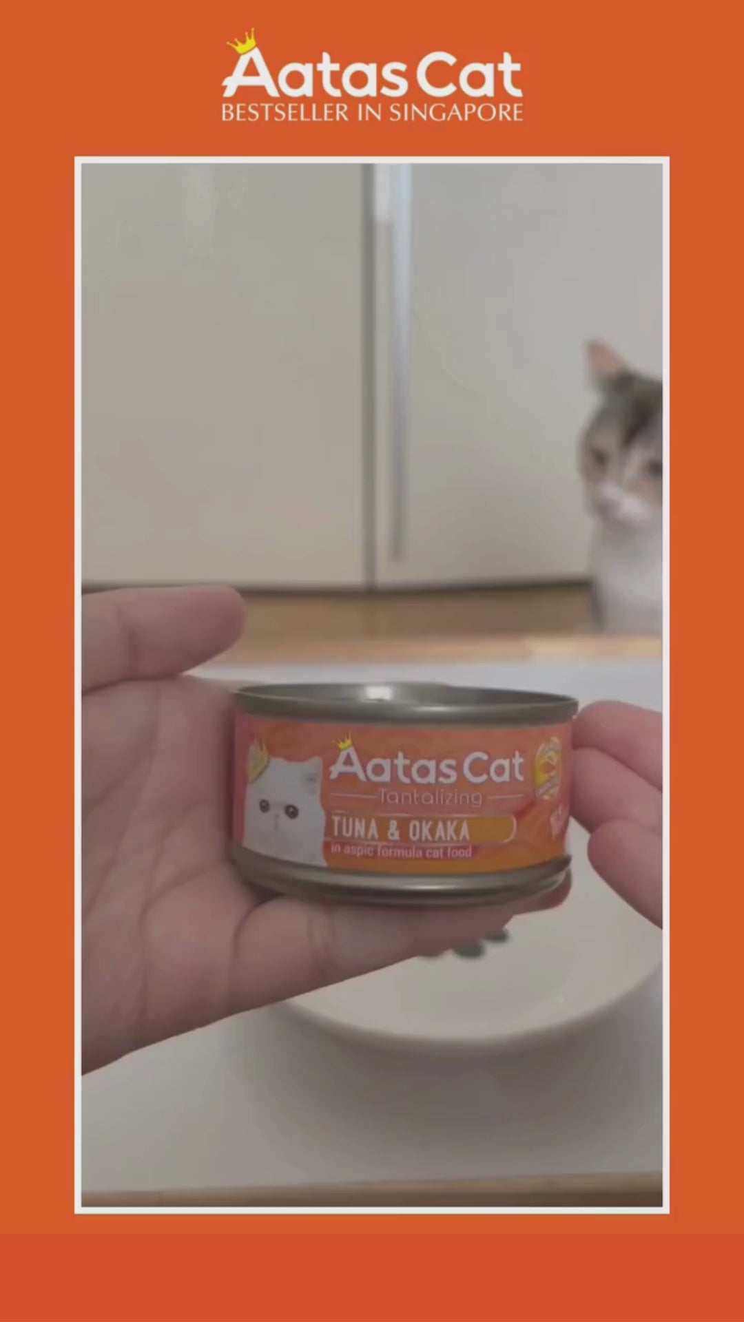 Pate Aatas cho mèo mọi lứa tuổi, lon 80g | Pet's Warehouse