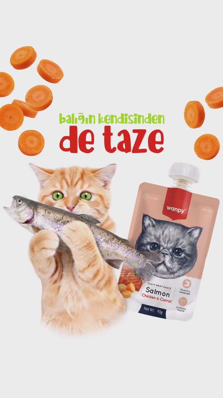 Súp Thưởng Nắp Vặn Wanpy Mèo Mọi Lứa Tuổi 90G