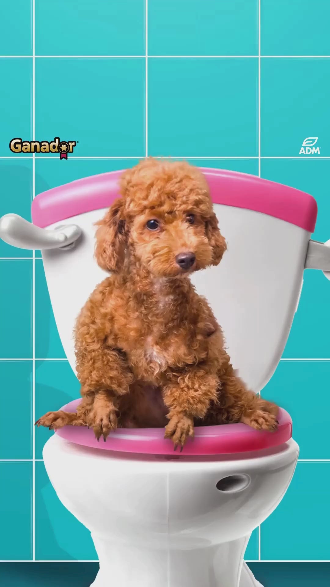 Hạt Ganador cho chó mọi lứa tuổi, nhiều vị, 400g | Pet's Warehouse