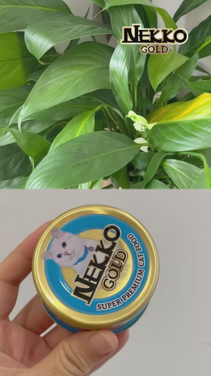Pate Nekko Gold cho mèo trưởng thành, Thái Lan, lon 85g | Pet's Warehouse