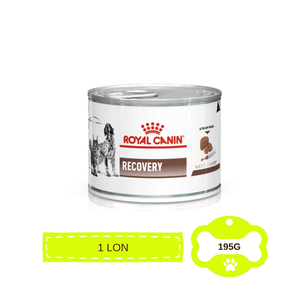 Pate Royal Canin Recovery Cho Chó Mèo, Lon 195g