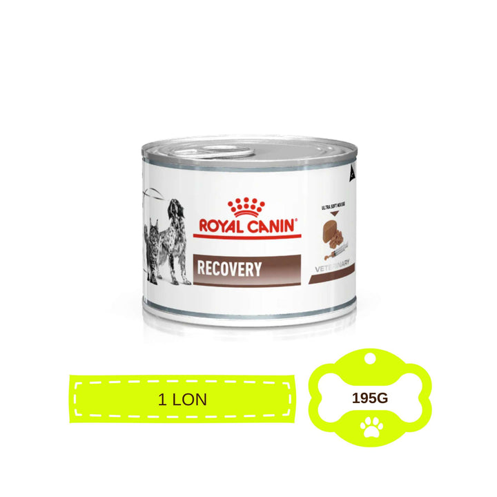 Pate Royal Canin Recovery Cho Chó Mèo, Lon 195g