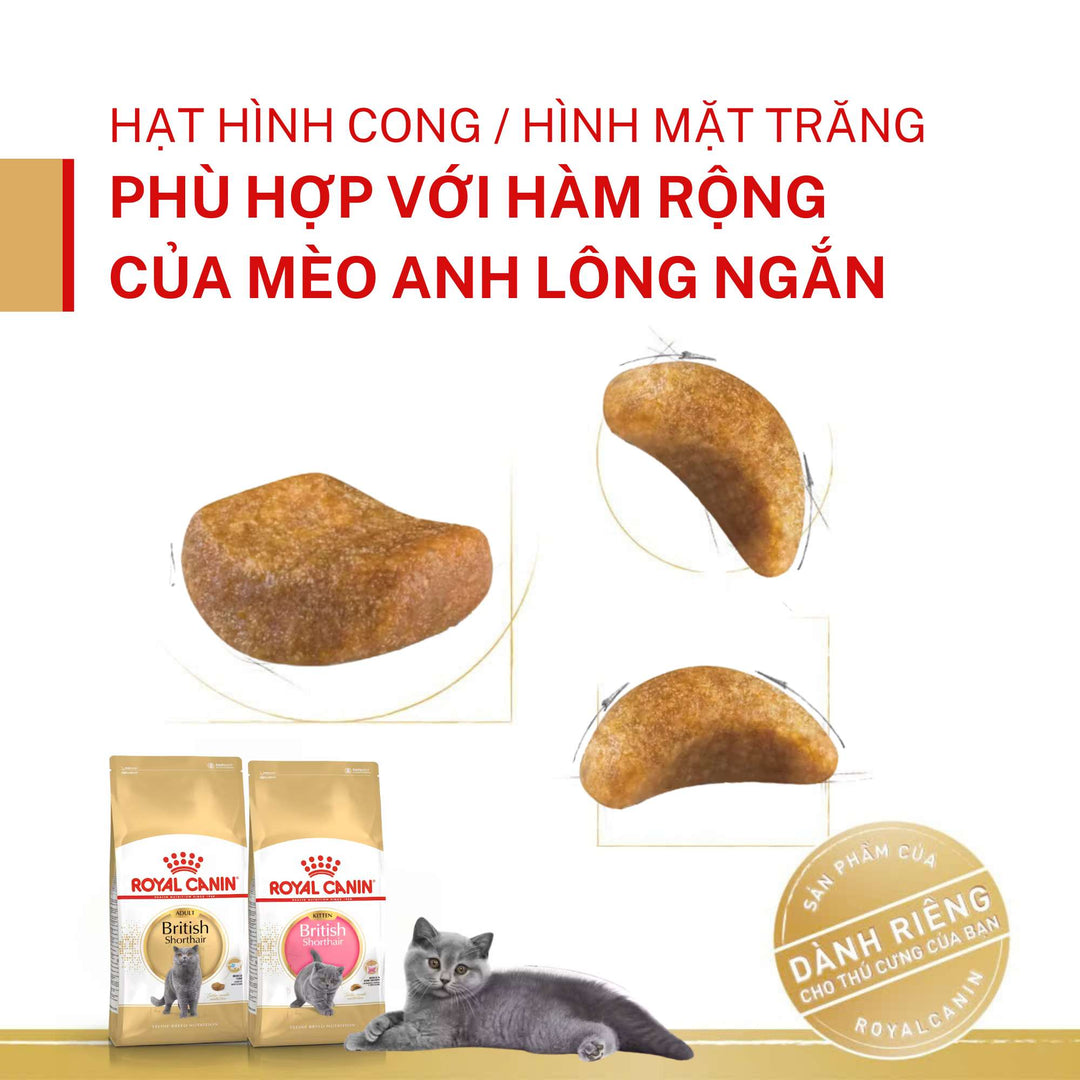 Hạt Cho Mèo Anh Lông Ngắn Royal Canin British Shorthair, Túi 2Kg