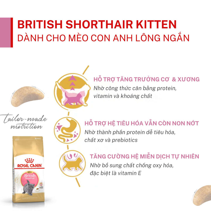 Hạt Cho Mèo Anh Lông Ngắn Royal Canin British Shorthair, Túi 2Kg