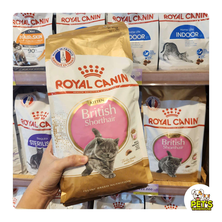 Hạt Cho Mèo Anh Lông Ngắn Royal Canin British Shorthair, Túi 2Kg