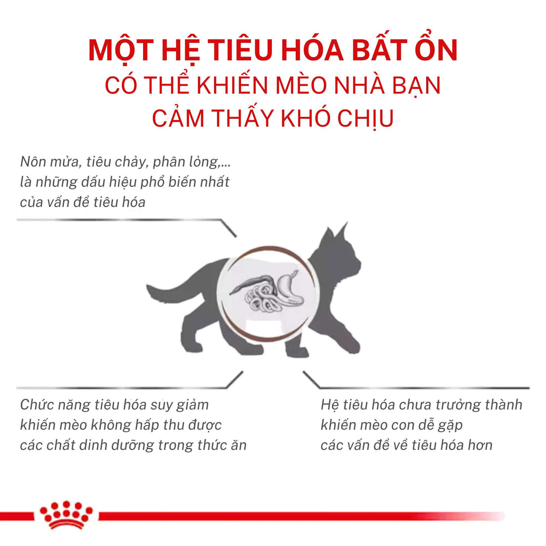 Hạt Royal Canin Gastrointestinal Hỗ Trợ Tiêu Hóa Cho Mèo Con & Mèo Trưởng Thành, Túi 2Kg