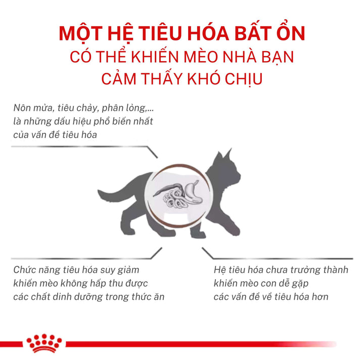 Hạt Royal Canin Gastrointestinal Hỗ Trợ Tiêu Hóa Cho Mèo Con & Mèo Trưởng Thành, Túi 2Kg