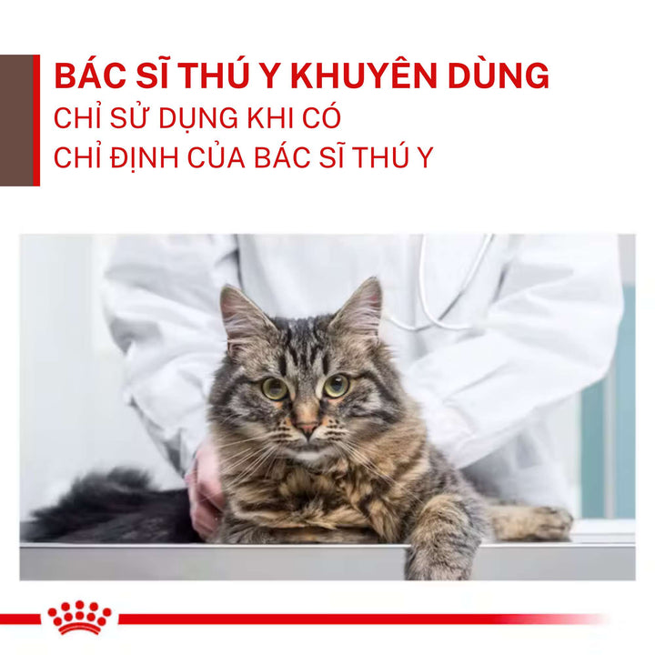 Hạt Royal Canin Gastrointestinal Hỗ Trợ Tiêu Hóa Cho Mèo Con & Mèo Trưởng Thành, Túi 2Kg