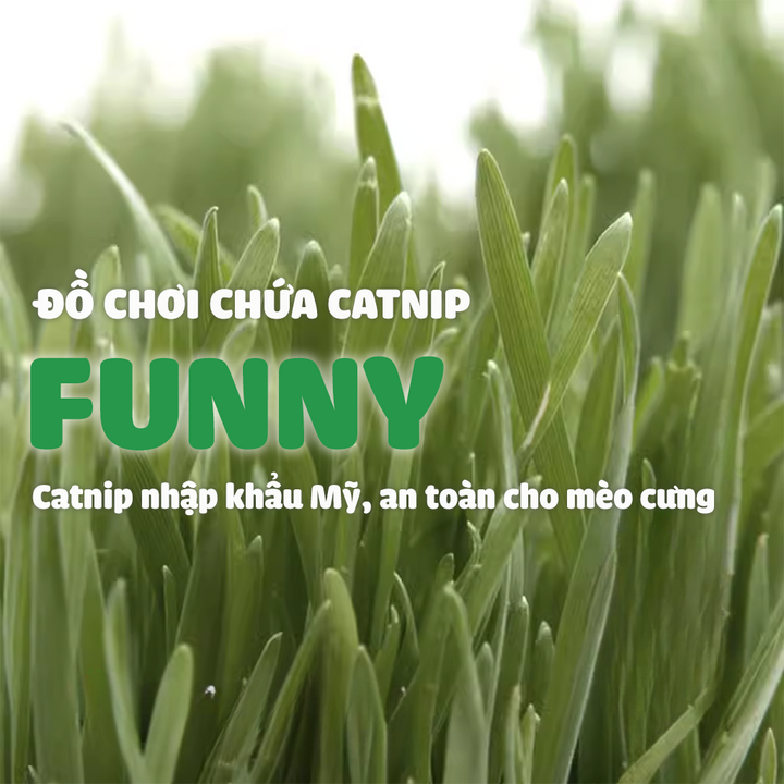 Đồ Chơi Fofos Mèo Chủ Đề Sinh Nhật & Mùa Hè