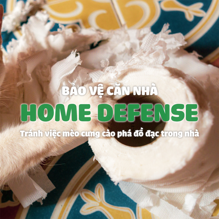 Đồ Chơi Fofos Mèo Chủ Đề Sinh Nhật & Mùa Hè