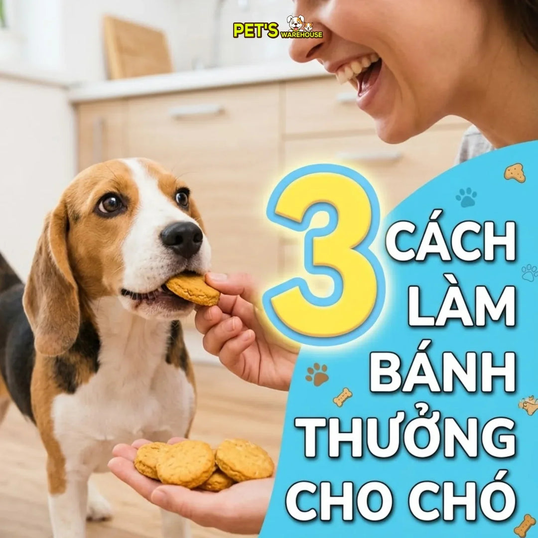 3 cách làm bánh thưởng cho chó tại nhà đơn giản, tiết kiệm