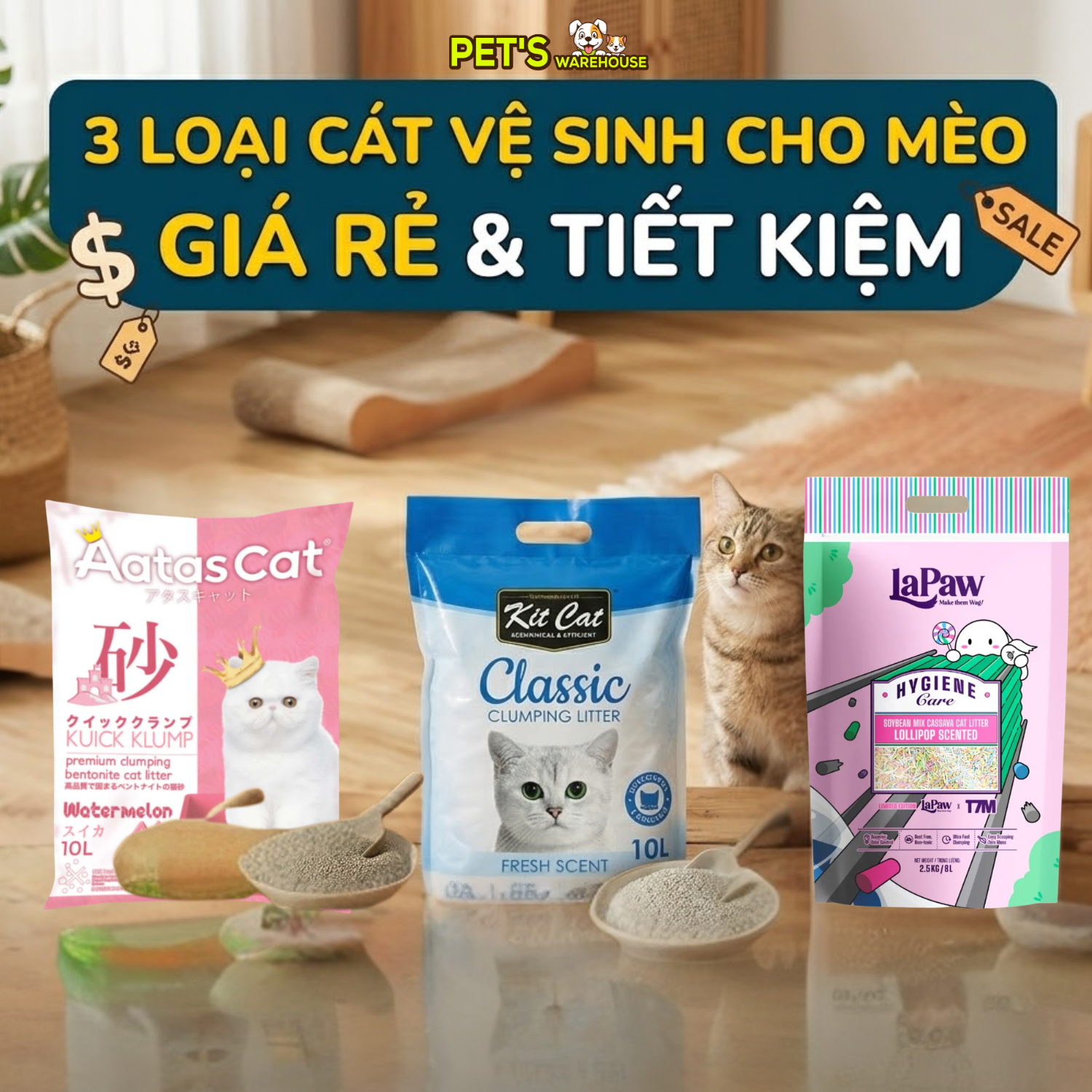 Top 3 loại cát vệ sinh cho mèo giá rẻ, tiết kiệm – Petswarehouse