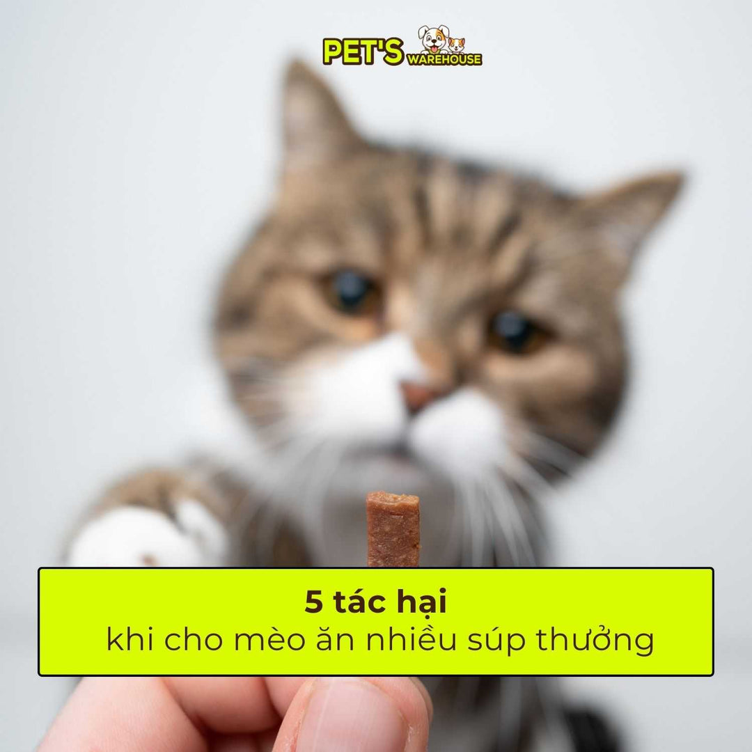 sup-thuong-cho-meo-pets-warehouse