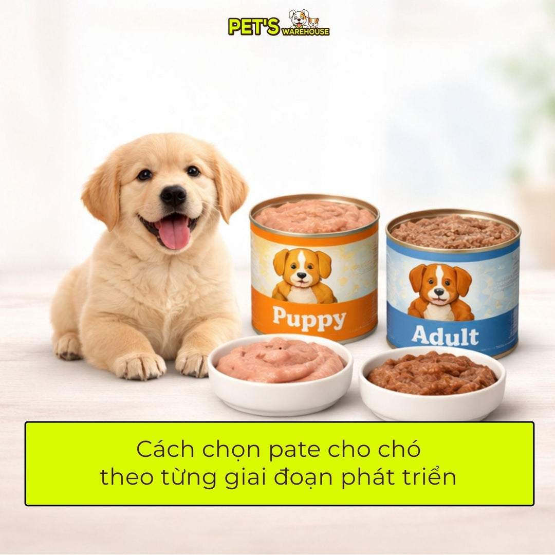 Cách chọn pate cho chó theo từng giai đoạn phát triển