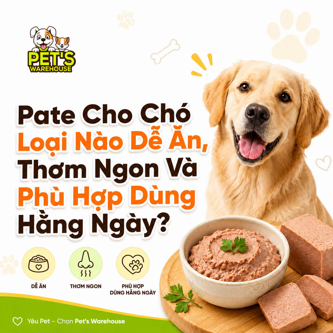 Pate Cho Chó Loại Nào Dễ Ăn, Thơm Ngon Và Phù Hợp Dùng Hằng Ngày?
