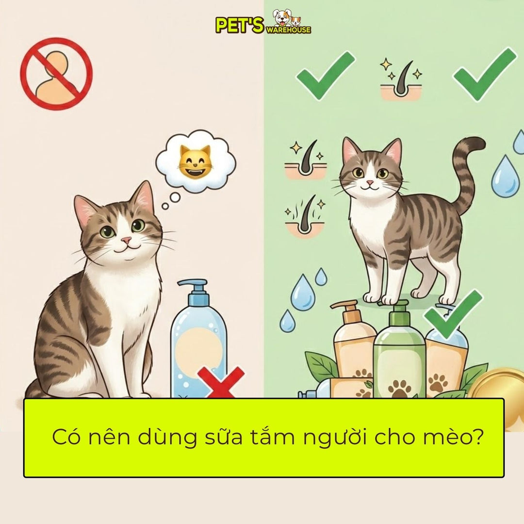 Sua-tam-duong-long-da-cho-meo-tai-pets-warehouse