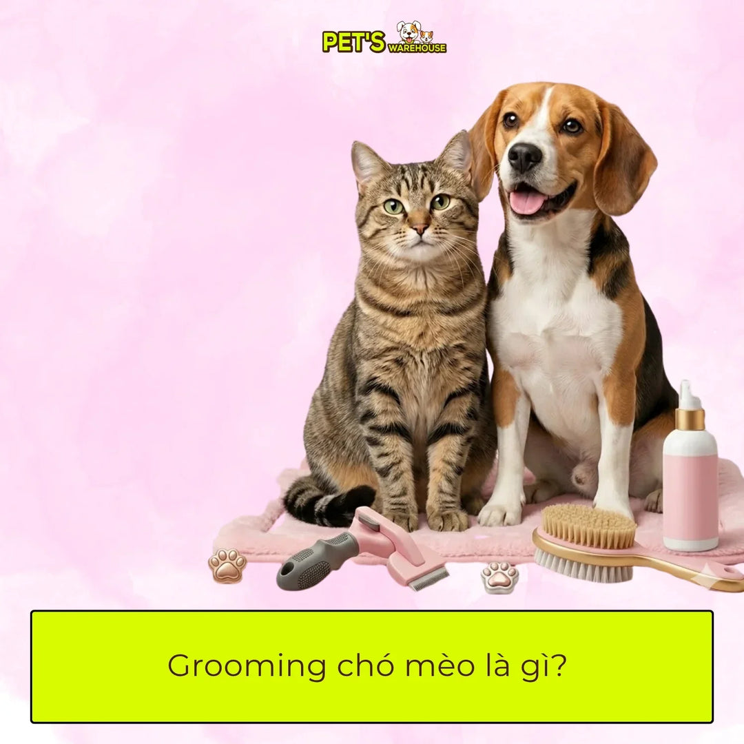 Grooming chó mèo là gì?
