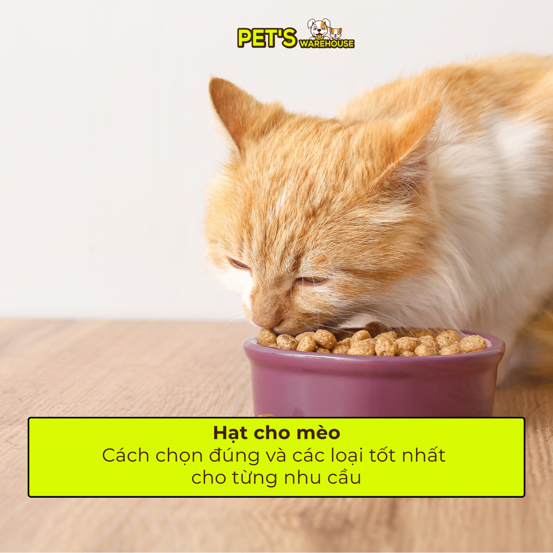 hat-meo-tai-pets-warehouse