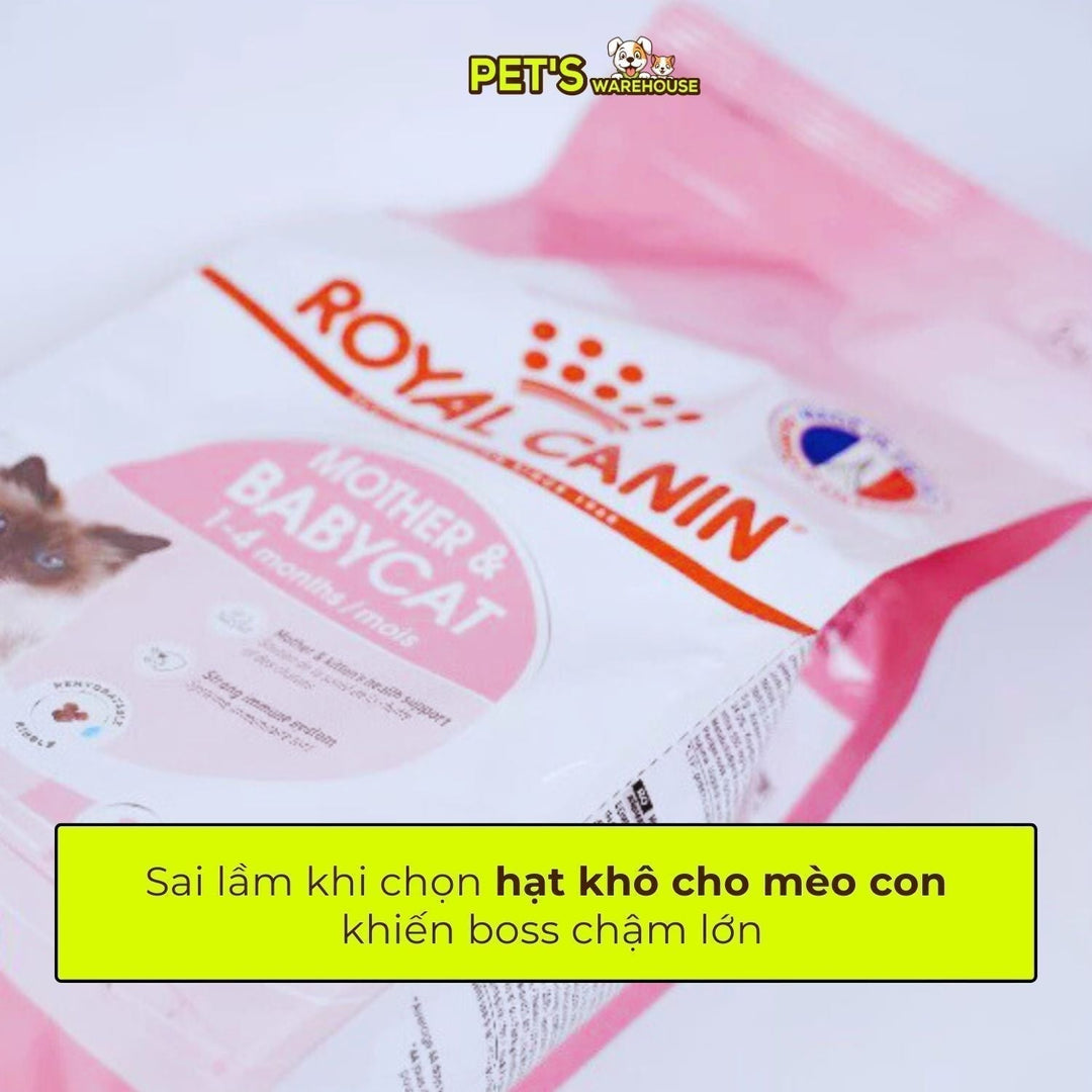 hat-cho-meo-pets-warehouse