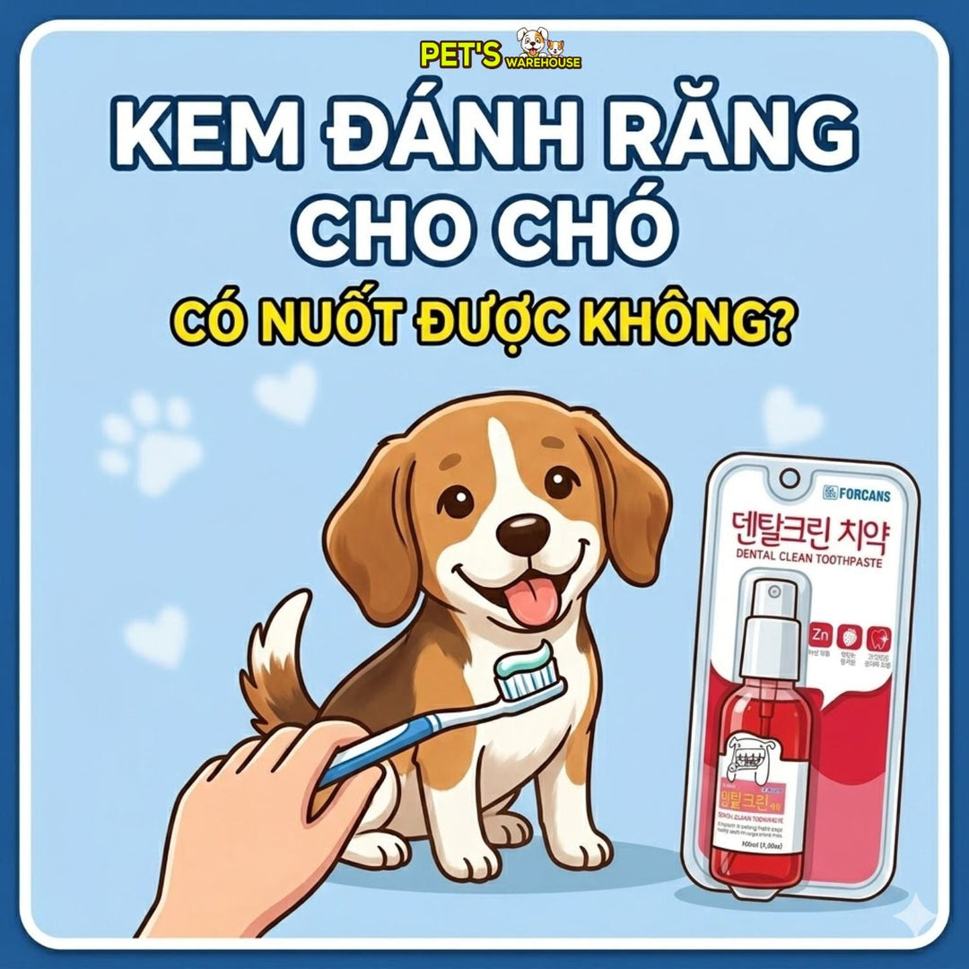 Kem đánh răng cho chó có nuốt được không?