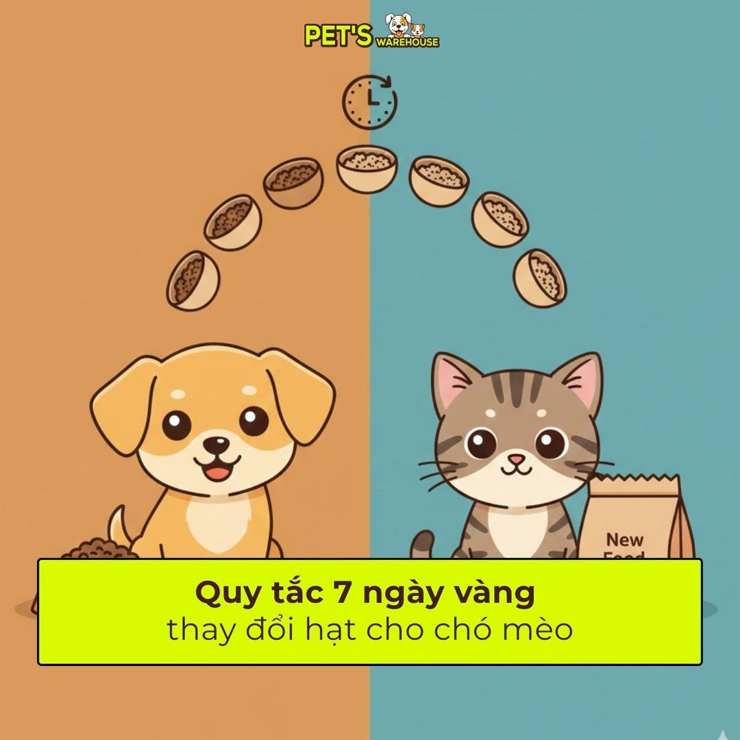 Quy tắc 7 ngày vàng thay đổi hạt cho chó mèo